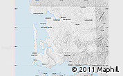 Silver Style Map of Pacific County