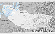 Gray 3D Map of Pierce County