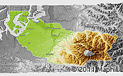 Physical 3D Map of Pierce County, desaturated