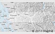 Silver Style Map of Skagit County