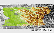 Physical 3D Map of Snohomish County, desaturated