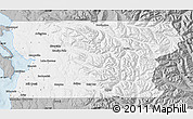 Gray Map of Snohomish County