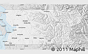 Silver Style Map of Snohomish County