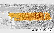 Political 3D Map of Whatcom County, lighten, desaturated