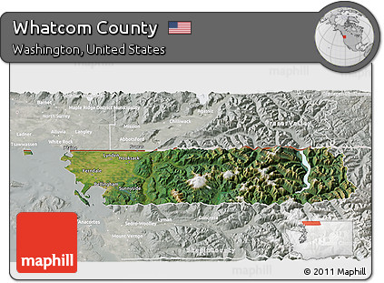 Satellite 3D Map of Whatcom County, lighten, semi-desaturated