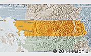 Political Map of Whatcom County, lighten, semi-desaturated