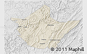 Shaded Relief 3D Map of Greenbrier County, lighten, desaturated