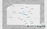 Gray Map of Dane County