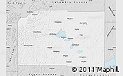 Silver Style Map of Dane County