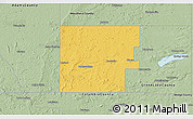 Savanna Style 3D Map of Marquette County
