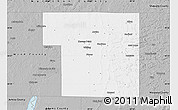 Gray Map of Portage County