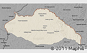 Shaded Relief 3D Map of ARTIGAS, darken, desaturated