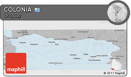 Gray Panoramic Map of COLONIA