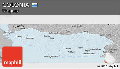 Gray Panoramic Map of COLONIA