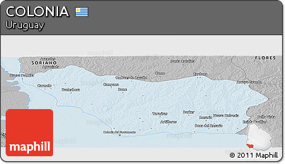 Gray Panoramic Map of COLONIA