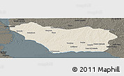 Shaded Relief Panoramic Map of COLONIA, darken
