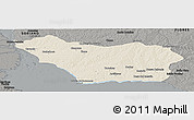 Shaded Relief Panoramic Map of COLONIA, darken, semi-desaturated