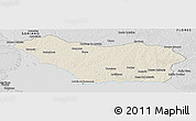Shaded Relief Panoramic Map of COLONIA, desaturated