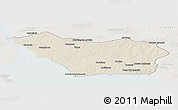 Shaded Relief Panoramic Map of COLONIA, lighten