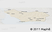 Shaded Relief Panoramic Map of COLONIA, lighten, semi-desaturated
