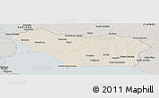 Shaded Relief Panoramic Map of COLONIA, semi-desaturated