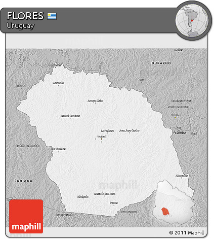 Gray 3D Map of FLORES