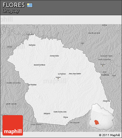Gray 3D Map of FLORES