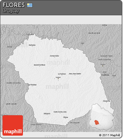 Gray 3D Map of FLORES