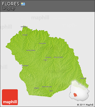 Physical 3D Map of FLORES, single color outside