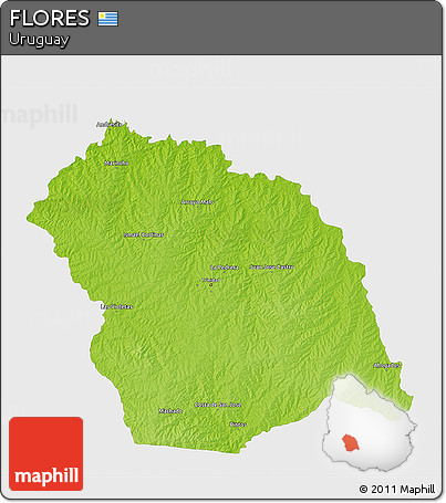 Physical 3D Map of FLORES, single color outside