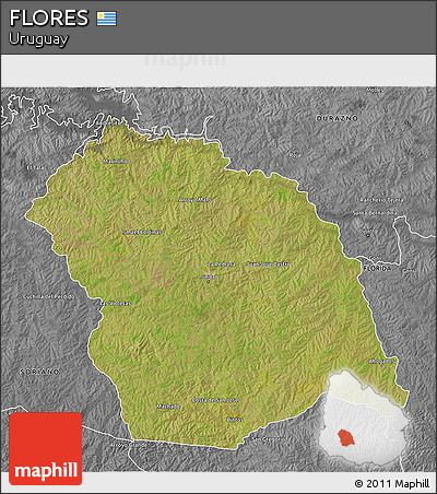 Satellite 3D Map of FLORES, desaturated
