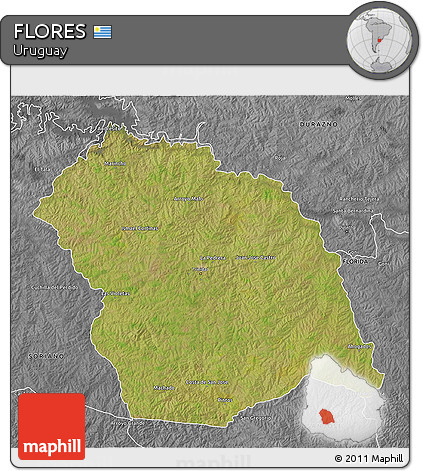 Satellite 3D Map of FLORES, desaturated