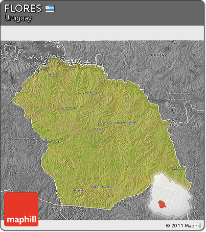 Satellite 3D Map of FLORES, desaturated