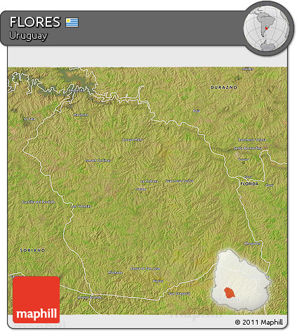 Satellite 3D Map of FLORES