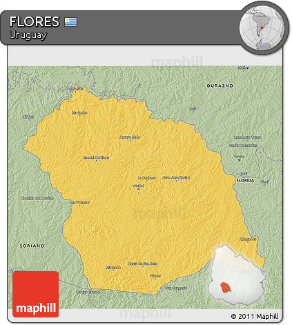 Savanna Style 3D Map of FLORES