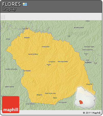Savanna Style 3D Map of FLORES