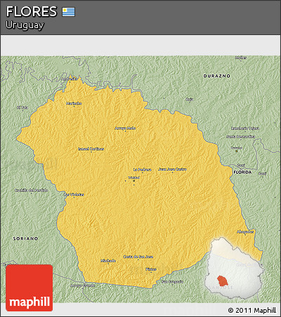 Savanna Style 3D Map of FLORES
