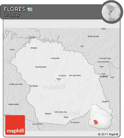 Silver Style 3D Map of FLORES