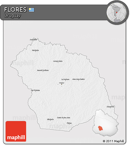 Silver Style 3D Map of FLORES, single color outside