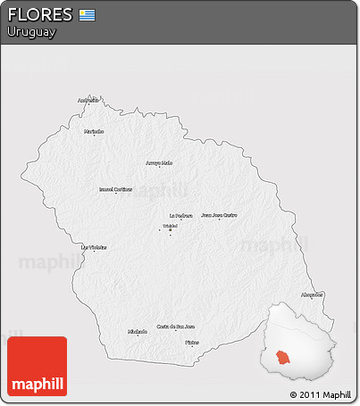 Silver Style 3D Map of FLORES, single color outside