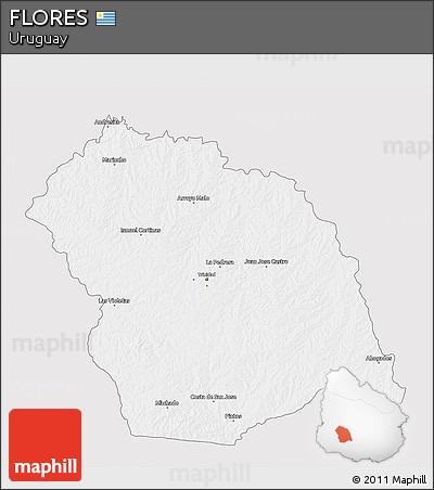 Silver Style 3D Map of FLORES, single color outside
