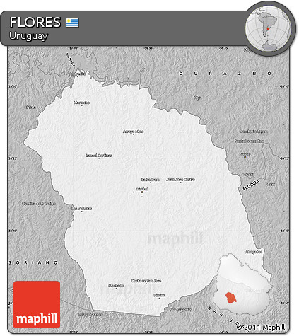 Gray Map of FLORES