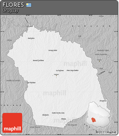 Gray Map of FLORES