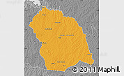 Political Map of FLORES, desaturated