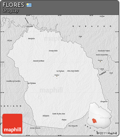 Silver Style Map of FLORES