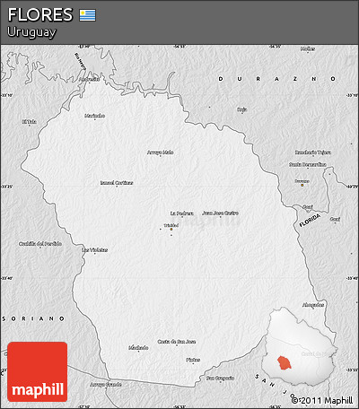 Silver Style Map of FLORES
