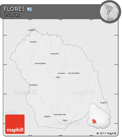 Silver Style Map of FLORES, single color outside