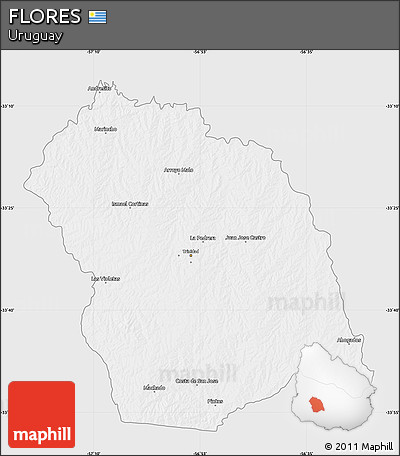 Silver Style Map of FLORES, single color outside