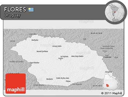 Gray Panoramic Map of FLORES