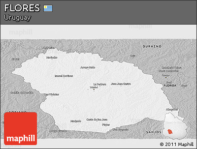 Gray Panoramic Map of FLORES